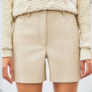 Aritzia Mercury Shorts
